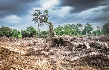 Biden anuncia 1,000 millones de dólares para proyectos de resistencia al cambio climático
