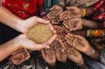 Evitar desperdicio de comida salvaría a 153 millones de personas de la hambruna Evitar desperdicio de comida salvaría a 153 millones de personas de la hambruna