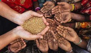 Evitar desperdicio de comida salvaría a 153 millones de personas de la hambruna