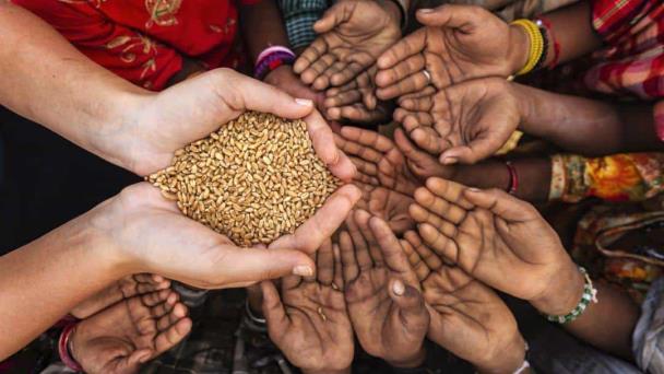 Evitar desperdicio de comida salvaría a 153 millones de personas de la hambruna