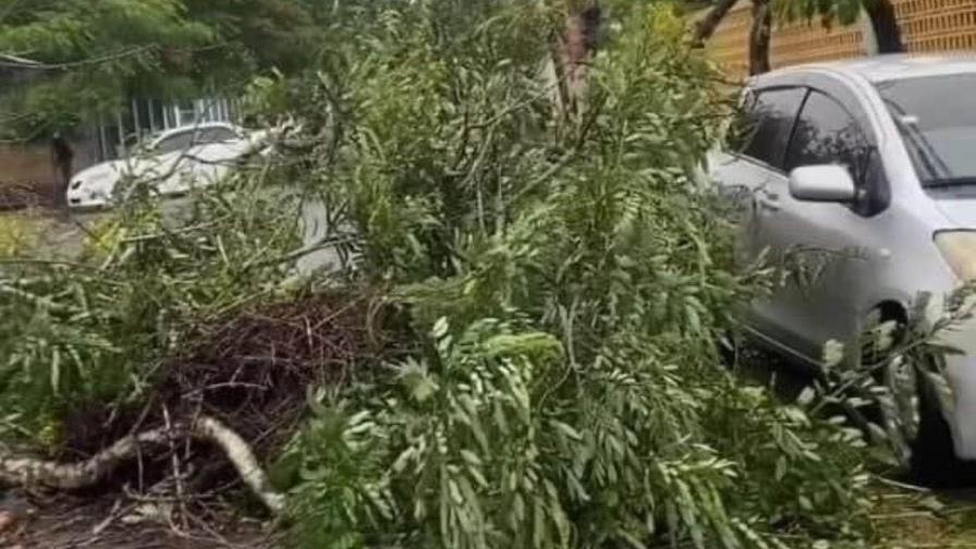 No se reportaron daños lamentables por efectos del huracán Beryl en San Pedro de Macorís