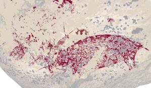 La obra de arte m&aacute;s antigua del mundo descubierta en una cueva de Indonesia