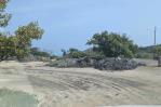 Medio Ambiente paraliza vertido de material de desechos en manglares de Montecristi