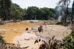 Mercurio, deforestación y caos social: los impactos devastadores de la minería en Perú