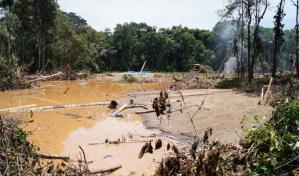 Mercurio, deforestación y caos social: los impactos devastadores de la minería en Perú