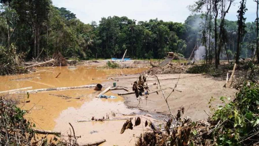 Mercurio, deforestación y caos social: los impactos devastadores de la minería en Perú