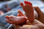 Las muertes neonatales, infantiles y maternas disminuyen en comparación al año 2023