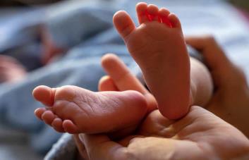 Las muertes neonatales, infantiles y maternas disminuyen en comparación al año 2023