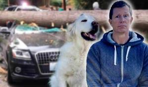 Tragedia| Muere el comediante Tony Knight tras caerle la rama de un árbol en un festival de rock