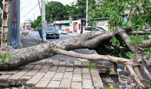 Jamaica restituye electricidad al 84 % de los clientes y agua al 65 % tras paso de Beryl