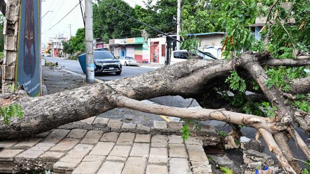 Jamaica restituye electricidad al 84 % de los clientes y agua al 65 % tras paso de Beryl