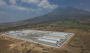 ONG documenta que 261 personas murieron en prisión durante el régimen de excepción en El Salvador