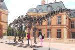 Se subastará en Francia el fósil del dinosaurio más grande jamás puesto a la venta