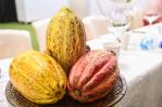 El cacao, tabaco y huevos favorecen el comercio exterior de la República Dominicana