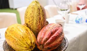 El cacao, tabaco y huevos favorecen el comercio exterior de la República Dominicana