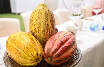 El cacao, tabaco y huevos favorecen el comercio exterior de la República Dominicana