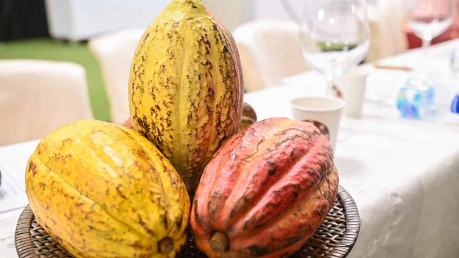 El cacao, tabaco y huevos favorecen el comercio exterior de la República Dominicana