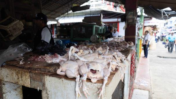 Ministro admite que altas temperaturas y bajo rendimiento escasean el pollo y elevan su precio