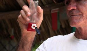 El ave más pequeña del mundo tiene una casa con jardín en Cuba