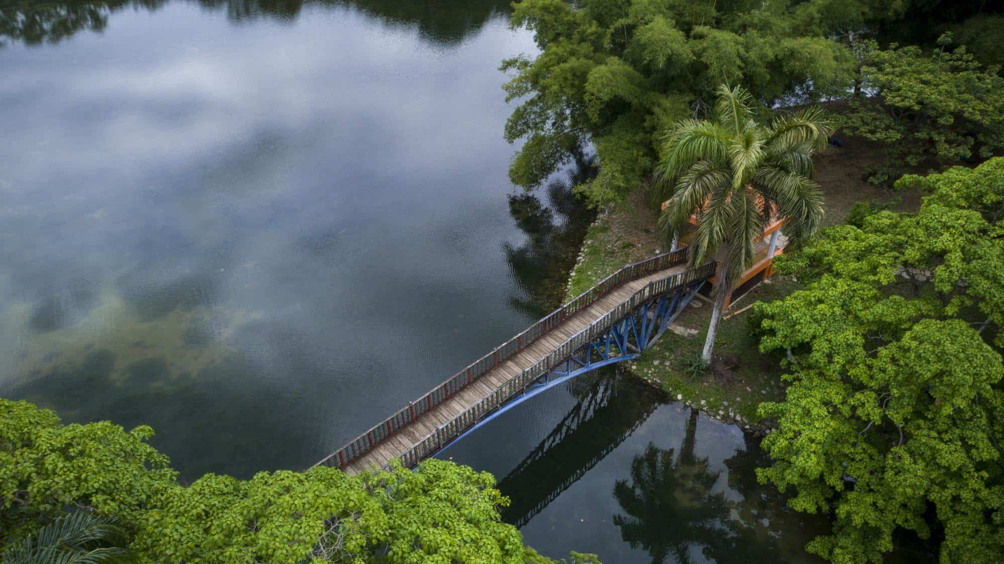 [object HTMLTextAreaElement]