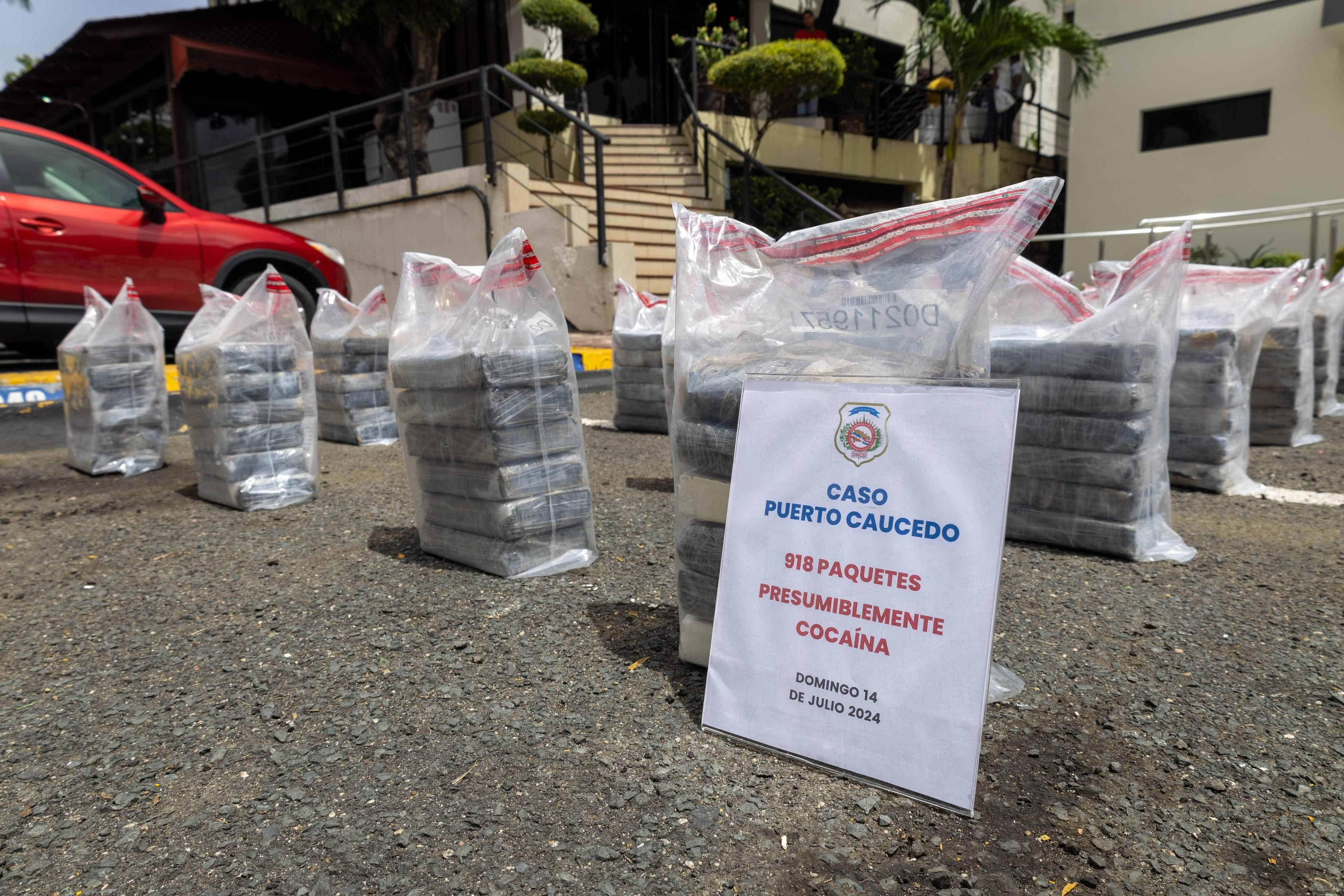 Parte de las bolsas contentivas de la supuesta droga que incautó la DNCD en el Puerto Multimodal Caucedo.