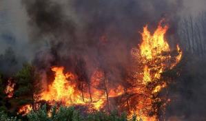 Macedonia del Norte pide ayuda a otros países para apagar los incendios