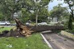 Tormentas con probables tornados azotan el área de Chicago, provocan un muerto y cortes de energía Tormentas con probables tornados azotan el área de Chicago, provocan un muerto y cortes de energía