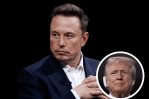 Elon Musk se compromete con USD 45 millones al mes para respaldar a Trump