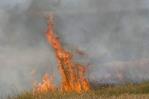 Bulgaria advierte que cada 20 minutos se alerta de un nuevo incendio en el país