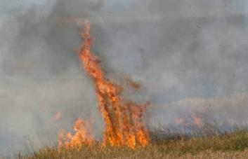 Bulgaria advierte que cada 20 minutos se alerta de un nuevo incendio en el país