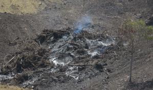 Ecologista estima que área depredada en Buen Hombre podría durar 20 años para recuperar su cobertura