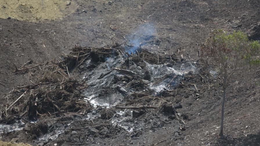 Ecologista estima que área depredada en Buen Hombre podría durar 20 años para recuperar su cobertura