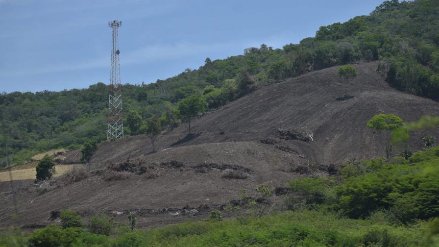 Imponen dos meses de prisión a imputado de depredar bosque en Buen Hombre