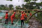 A strong wind associated with a trough destroyed the roofs of at least 15 homes in Salcedo