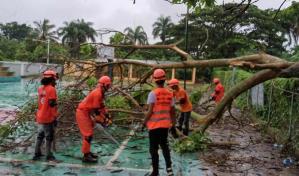 Ventarrón asociado a vaguada destruyó techos de al menos 15 viviendas en Salcedo