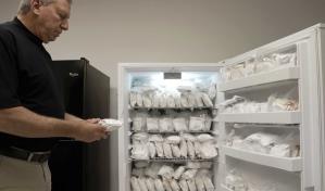 Estudio: Alérgicos a carnes rojas pueden comer tocino de cerdos modificados genéticamente