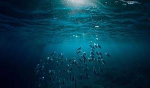 Un misterioso oxígeno negro producido en las profundidades del océano Pacífico
