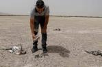 Voluntarios de Argelia salvan a unos 300 flamencos en riesgo por la sequía