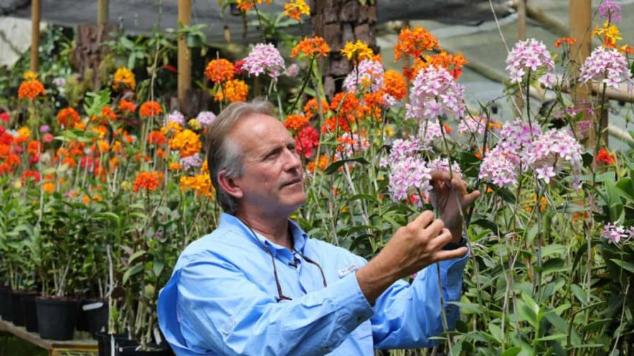 Un colombiano clona orquídeas al borde de la extinción