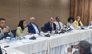 Los diputados seguirán analizando el Código Penal y se desligan de mandato imperativo de Abinader