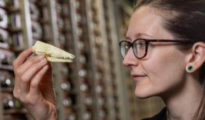 Los pequeños mamíferos de la época de los dinosaurios vivían más y crecían más despacio