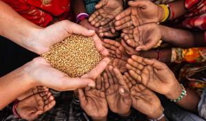 El hambre en el mundo se mantiene en niveles elevados por tercer año consecutivo