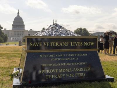 Veteranos militares de EEUU buscan aprobación de terapia psicodélica