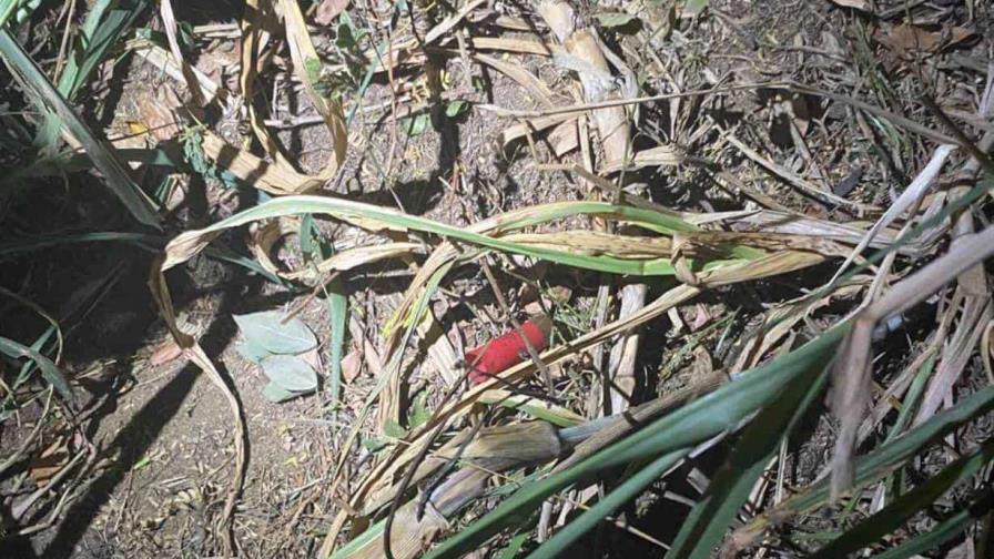 Agricultor mata menor haitiana al "confundirla con ladrones" en Santiago Rodríguez