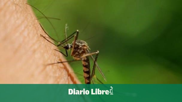 Cuba confirma la presencia del virus de Oropouche en 15 provincias