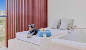 Live Aqua Punta Cana abre su programa Dog Friendly
