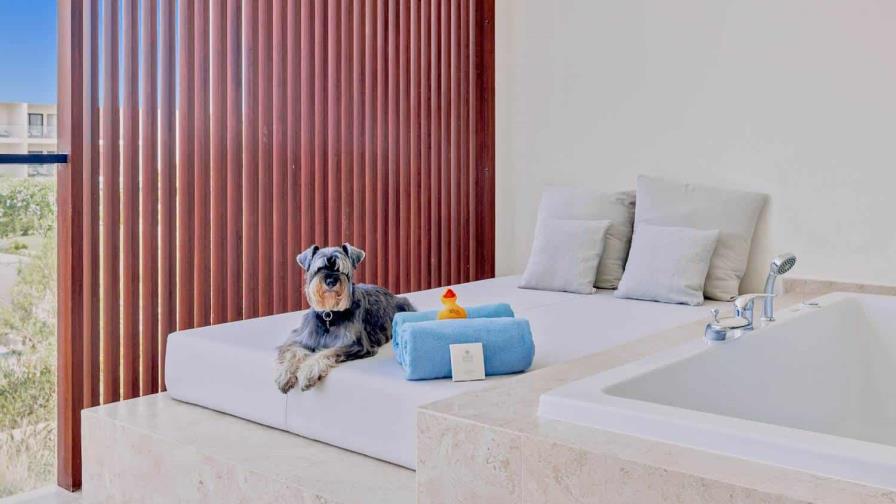 Live Aqua Punta Cana abre su programa Dog Friendly