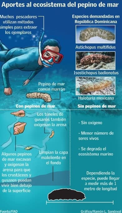 Infografía