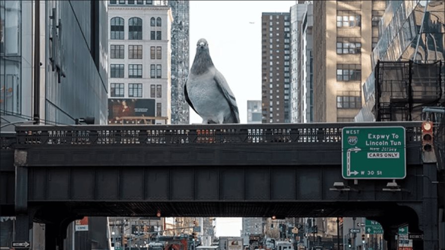 Una paloma gigante obra de un escultor colombiano presidirá el High Line de Nueva York