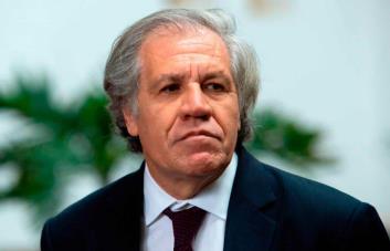 Almagro pide verificar ya las actas de votación obtenidas por la oposición de Venezuela